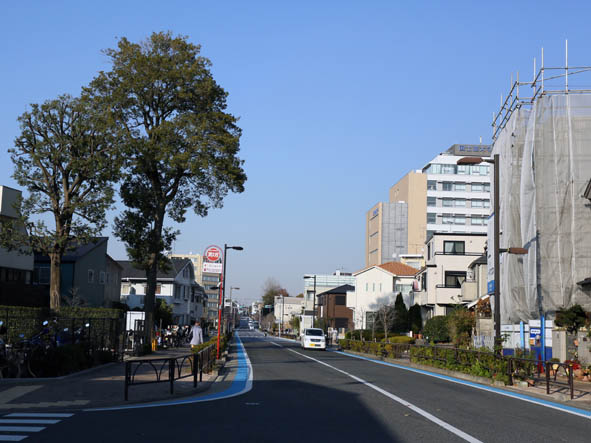 新しい道.jpg