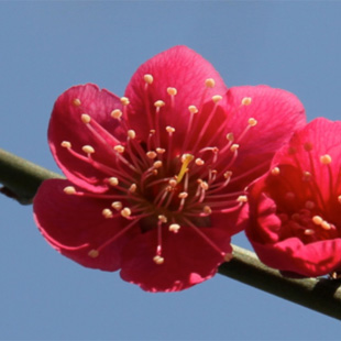 201391320120.jpg