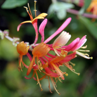 201391320440.jpg