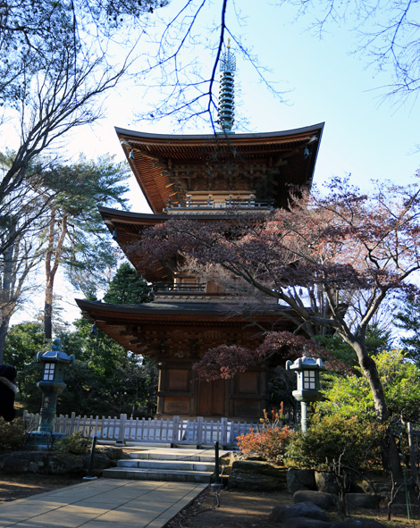 201411120039.jpg
