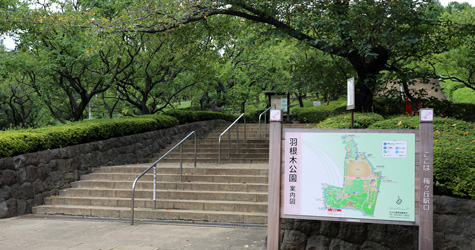 2013917214039.jpg