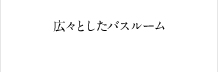 広々としたバスルーム